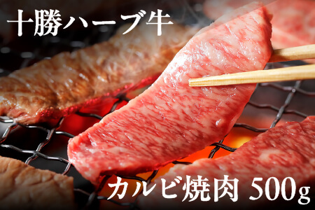 北海道　牛肉　赤身｜十勝ハーブ牛　カルビ焼肉＜500g＞　［022-H64］　※オンライン申請対応