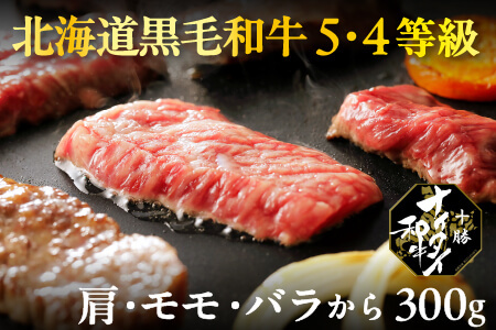 北海道　和牛肉　5・4等級｜十勝ナイタイ和牛　焼肉＜300g＞　［014-N60］　※オンライン申請対応