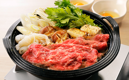 十勝ナイタイ和牛 モモスライスとハンバーグセット 計540g 北海道産 5・4等級黒毛和牛 オレイン酸含有率55%以上 冷凍ハンバーグ