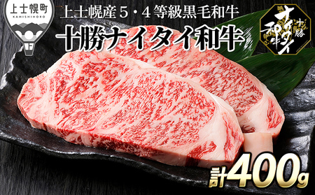 十勝ナイタイ和牛 サーロインステーキ 計400g（200g×2枚） 北海道産 5・4等級黒毛和牛 オレイン酸含有率55%以上