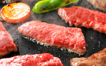 十勝ナイタイ和牛 定期便 5ヵ月コース 5回 北海道産 5・4等級黒毛和牛 オレイン酸含有率55%以上 サーロイン ミスジ ステーキ モモ肉 冷凍ハンバーグ