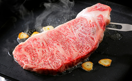 十勝ナイタイ和牛特選 定期便 5ヵ月コース 計5回 北海道産 5・4等級黒毛和牛 オレイン酸含有率55%以上 サーロイン ステーキ ヒレ肉 肩ロース リブロース 焼肉 すき焼き