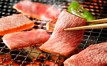 十勝ナイタイ和牛特選 定期便 5ヵ月コース 計5回 北海道産 5・4等級黒毛和牛 オレイン酸含有率55%以上 サーロイン ステーキ ヒレ肉 肩ロース リブロース 焼肉 すき焼き