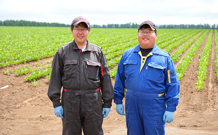 北海道産 さつまいも 2.5kg 北海道 上士幌町 須田農場 野菜 産地直送