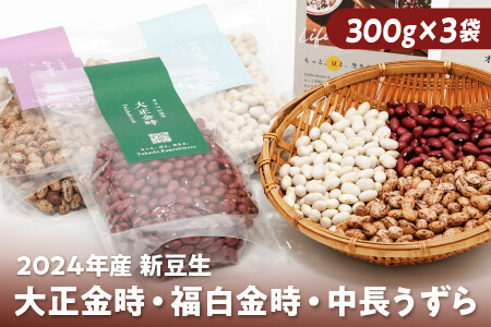 北海道 大正金時 福白金時 中長うずら 2024年産（新豆）｜オリベの豆や 生豆セット（煮豆Ver.） ◆2024年12月配送  きんときまめ