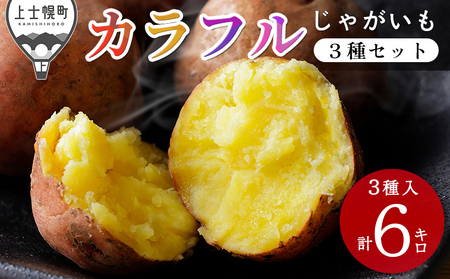 北海道産 カラフルじゃがいも 3種セット 計6kg 上士幌町加藤農場 馬鈴薯 芋 イモ 野菜 詰め合わせ