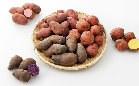 北海道産 カラフルじゃがいも 3種セット 計6kg 上士幌町加藤農場 馬鈴薯 芋 イモ 野菜 詰め合わせ