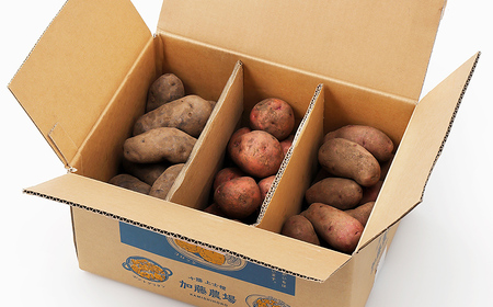 北海道産 カラフルじゃがいも 3種セット 計6kg 上士幌町加藤農場 馬鈴薯 芋 イモ 野菜 詰め合わせ