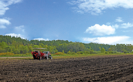 北海道産 カラフルじゃがいも 3種セット 計6kg 上士幌町加藤農場 馬鈴薯 芋 イモ 野菜 詰め合わせ