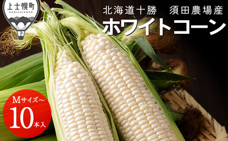 2026年分 先行予約 北海道産 ホワイトコーン 計10本 北海道 上士幌町 須田農場 野菜 白い スイートコーン とうもろこし トウモロコシ 産地直送 冷蔵便 ◆2026年08月配送予定