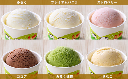 十勝もーもースイーツ ファミリーアイス 6種セット 計18個（6種×各3個） 北海道 アイスクリーム 卵不使用