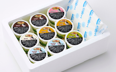 十勝もーもースイーツ ファミリーアイス 6種セット 計18個（6種×各3個） 北海道 アイスクリーム 卵不使用