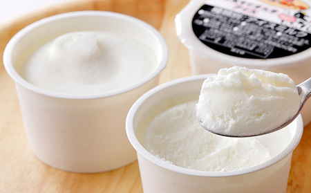 十勝もーもースイーツ 牛乳そのまんまアイス＆ココア 80ml×24個 北海道 アイスミルク 卵不使用 低カロリー