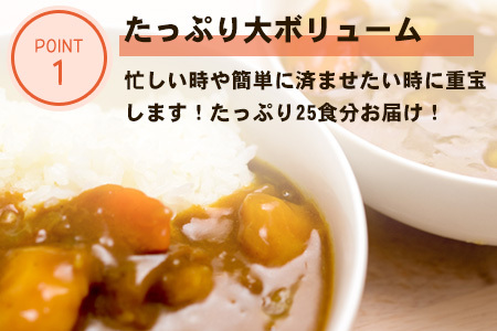 カレー専門店Sabziオリジナル野菜カレー 180g×25食(合計4.5kg) レトルト 簡単調理 長期保存 朝カレー ランチ「2024年 令和6年」