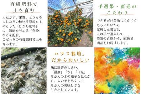 『先行予約』【令和7年6月上旬発送】夏の極上ハウスみかん「夏織」1.3kg  贈答箱・ギフトボックス入り ～海と空と、みかん～ 甘くてとろける夏の果物に ミカン フルーツ 柑橘