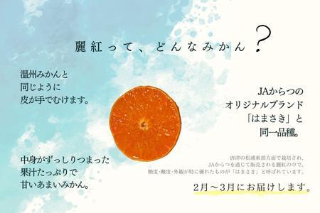 『予約受付』【令和7年2月上旬発送】唐津産ハウス育ち「麗紅」2.5kg 手提げ箱入り ～海と空と、みかん～ ミカン フルーツ 柑橘 ギフト