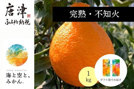 『予約受付』【令和7年2月上旬発送】唐津産ハウス育ち「不知火」1kg 贈答箱・ギフトボックス入り  ～海と空と、みかん～ デコポン ミカン みかん 柑橘 ギフト