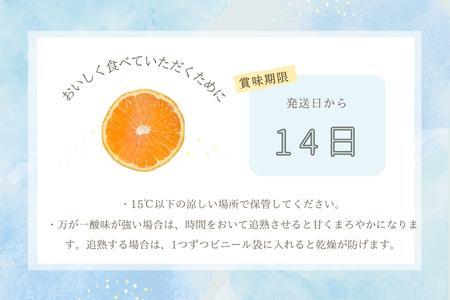 『予約受付』【令和7年2月上旬発送】唐津産ハウス育ち「不知火」1kg 贈答箱・ギフトボックス入り  ～海と空と、みかん～ デコポン ミカン みかん 柑橘 ギフト