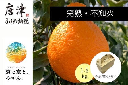 『予約受付』【令和7年2月上旬発送】唐津産ハウス育ち「不知火」1.8kg 手提げ箱入り～海と空と、みかん～デコポン ミカン みかん 柑橘 ギフト