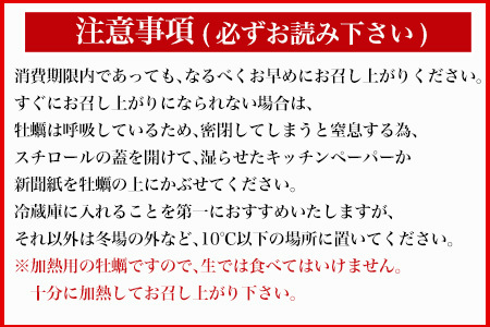 『先行予約』【12月中旬より順次発送】唐津産 殻付きいろは牡蠣 4kg(軍手・ナイフ付)期間限定 産地直送 殻付き 牡蠣 カキ 殻付き牡蠣 佐賀県 海鮮 BBQ 加熱用 お取り寄せ 贈り物 冬ギフト ギフト