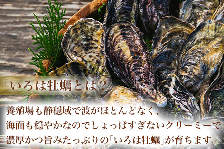 『先行予約』【12月中旬より順次発送】唐津産 殻付きいろは牡蠣 6kg(軍手・ナイフ付)期間限定 産地直送 殻付き 牡蠣 カキ 殻付き牡蠣 佐賀県 海鮮 BBQ 加熱用 お取り寄せ 贈り物 冬ギフト ギフト