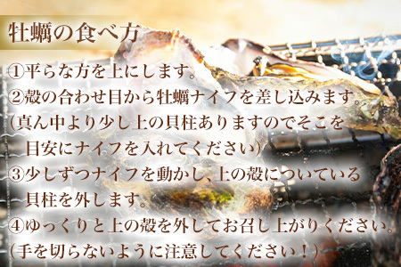 『先行予約』【12月中旬より順次発送】唐津産 殻付きいろは牡蠣 6kg(軍手・ナイフ付)期間限定 産地直送 殻付き 牡蠣 カキ 殻付き牡蠣 佐賀県 海鮮 BBQ 加熱用 お取り寄せ 贈り物 冬ギフト ギフト