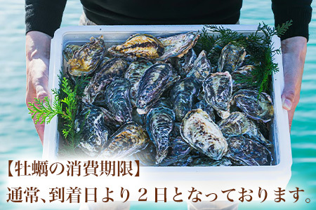 『先行予約』【12月中旬より順次発送】唐津産 殻付きいろは牡蠣 6kg(軍手・ナイフ付)期間限定 産地直送 殻付き 牡蠣 カキ 殻付き牡蠣 佐賀県 海鮮 BBQ 加熱用 お取り寄せ 贈り物 冬ギフト ギフト