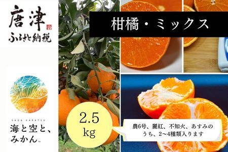 『先行予約』【令和8年1月中旬発送】唐津産ハウス育ち柑橘セット 2.5kg 手提げ箱 (麗紅・あすみ・不知火・農6号の中から2?4種) 品種おまかせ ?海と空と、みかん? ミカン フルーツ 柑橘 ギフト