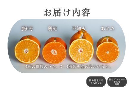 『先行予約』【令和8年1月中旬発送】唐津産ハウス育ち柑橘セット 2.5kg 手提げ箱 (麗紅・あすみ・不知火・農6号の中から2?4種) 品種おまかせ ?海と空と、みかん? ミカン フルーツ 柑橘 ギフト