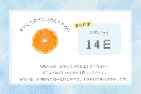 『先行予約』【令和8年1月中旬発送】唐津産ハウス育ち柑橘セット 2.5kg 手提げ箱 (麗紅・あすみ・不知火・農6号の中から2?4種) 品種おまかせ ?海と空と、みかん? ミカン フルーツ 柑橘 ギフト