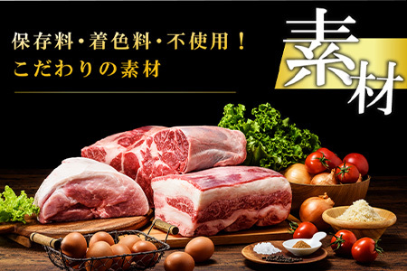 【11月中発送】1957年創業 特上ハンバーグ 140g×6個(合計840g)「唐津バーグ」商標登録済!! 冷凍真空パック 惣菜