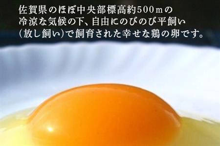放し飼い！七山たまご 40個箱 (Ｍ～Ｌサイズ相当) 玉子 生卵 鶏卵 佐賀県唐津産