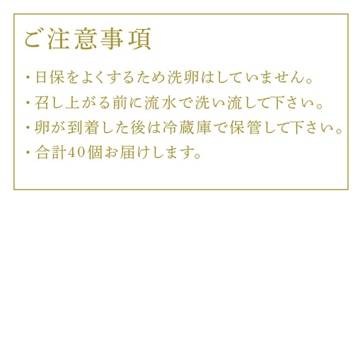 放し飼い！七山たまご 40個箱 (大玉) 玉子 生卵 鶏卵 佐賀県唐津産