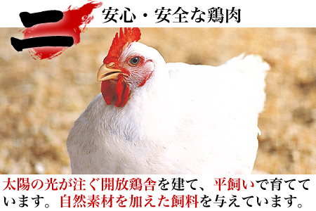 唐津市産 若鳥もも肉むね肉ささみ合計6kgセット 鶏肉 唐揚げ 親子丼 お弁当「2024年 令和6年」