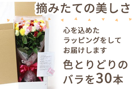 バラの花束 ミックス 30本 長さ40cm以上を厳選 産地直送 摘み立て プレゼント用 最高品質 栄養剤付 佐賀県唐津市 ふるさと納税サイト ふるなび