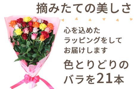 産地直送 バラの花束 ミックス 21本 50cm以上の薔薇を厳選 ふるなび 佐賀県唐津市 ふるさと納税サイト ふるなび
