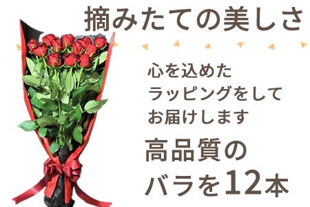 産地直送 バラの花束 赤色のみ 12本 60cm以上の薔薇を厳選 ふるなび 佐賀県唐津市 ふるさと納税サイト ふるなび