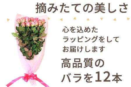 産地直送 バラの花束 ピンク色のみ 12本 60cm以上の薔薇を厳選 佐賀県唐津市 ふるさと納税サイト ふるなび