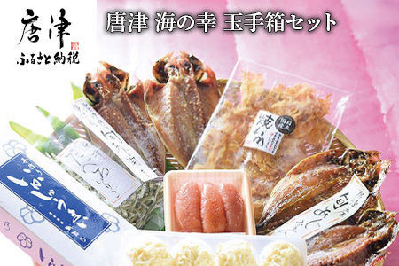 唐津 海の幸 特別限定 玉手箱セット 【無添加・無着色】唐津産 旬アジ 醤油みりん 淡汐干し ミシュランガイド掲載店 手作り 佐賀 呼子イカしゅうまい 無着色メンタイコ 国産 焼きいか 唐津産 おつまみいりこ 【ふるなび】