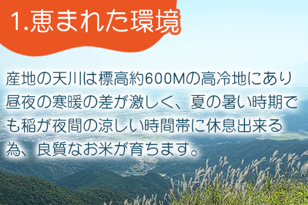 特別栽培米 【一等米】 唐津市天川産 こしひかり 5kg×2 (合計10kg) 減肥減農薬で育てた特別栽培米をお届け たんぱく質が少なく食味が良いお米