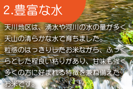 特別栽培米 【一等米】 唐津市天川産 こしひかり 5kg×2 (合計10kg) 減肥減農薬で育てた特別栽培米をお届け たんぱく質が少なく食味が良いお米