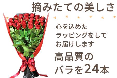 産地直送 バラの花束 赤色のみ 24本 60cm以上の薔薇を厳選 ふるなび 佐賀県唐津市 ふるさと納税サイト ふるなび