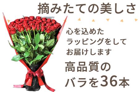 バラの花束 赤色 36本 長さ60cm以上を厳選 産地直送 摘み立て プレゼント用 最高品質 栄養剤付 佐賀県唐津市 ふるさと納税サイト ふるなび