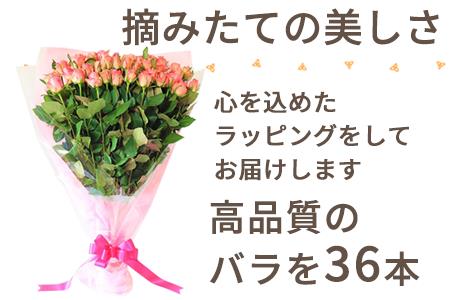 産地直送 バラの花束 ピンク色のみ 36本 60cm以上の薔薇を厳選 ふるなび 佐賀県唐津市 ふるさと納税サイト ふるなび