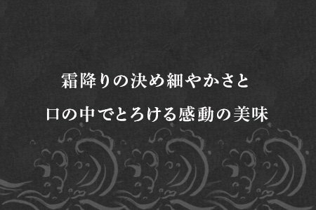 【ふるなび限定】佐賀牛サーロインステーキ210g×3枚 (合計 630g) 和牛 肉 ギフト 贈り物 FN-Limited-SP