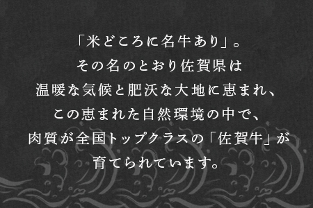 【ふるなび限定】佐賀牛サーロインステーキ210g×3枚 (合計 630g) 和牛 肉 ギフト 贈り物 FN-Limited-SP