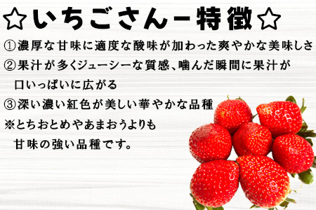 『先行予約』【令和７年5月中旬ごろより順次発送】苺そのままの甘酸っぱさ！プレミアム苺シャーベット 8個入 スイーツ カップ デザート 氷菓子 苺 イチゴ