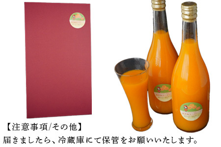 南津海(なつみ)100% 720ml×2本セット みかんジュース 飲料 飲み物 ソフトドリンク 蜜柑 ミカン オレンジジュース