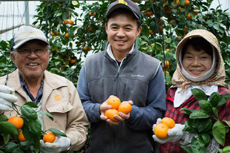 南津海(なつみ)100% 720ml×2本セット みかんジュース 飲料 飲み物 ソフトドリンク 蜜柑 ミカン オレンジジュース
