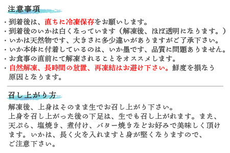 呼子のいか活造り1杯! コリコリ甘い鮮度抜群の透明感! 約250g 刺身 ギフト 冷凍